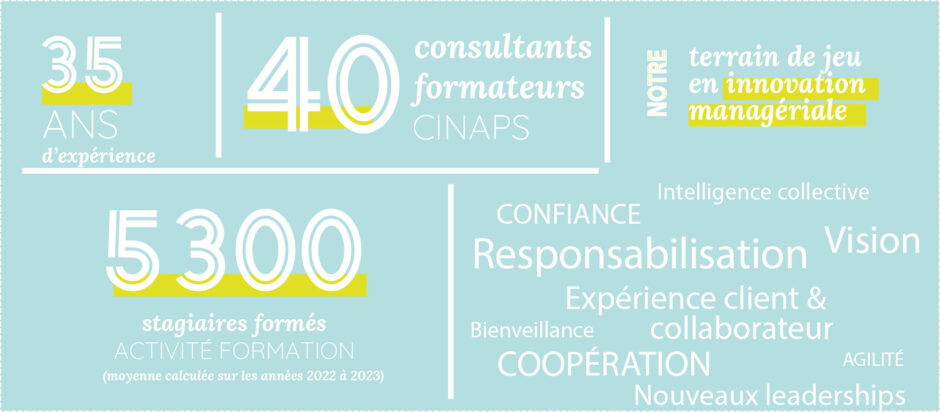 Chiffres clefs du cabine Cinaps conseil en management